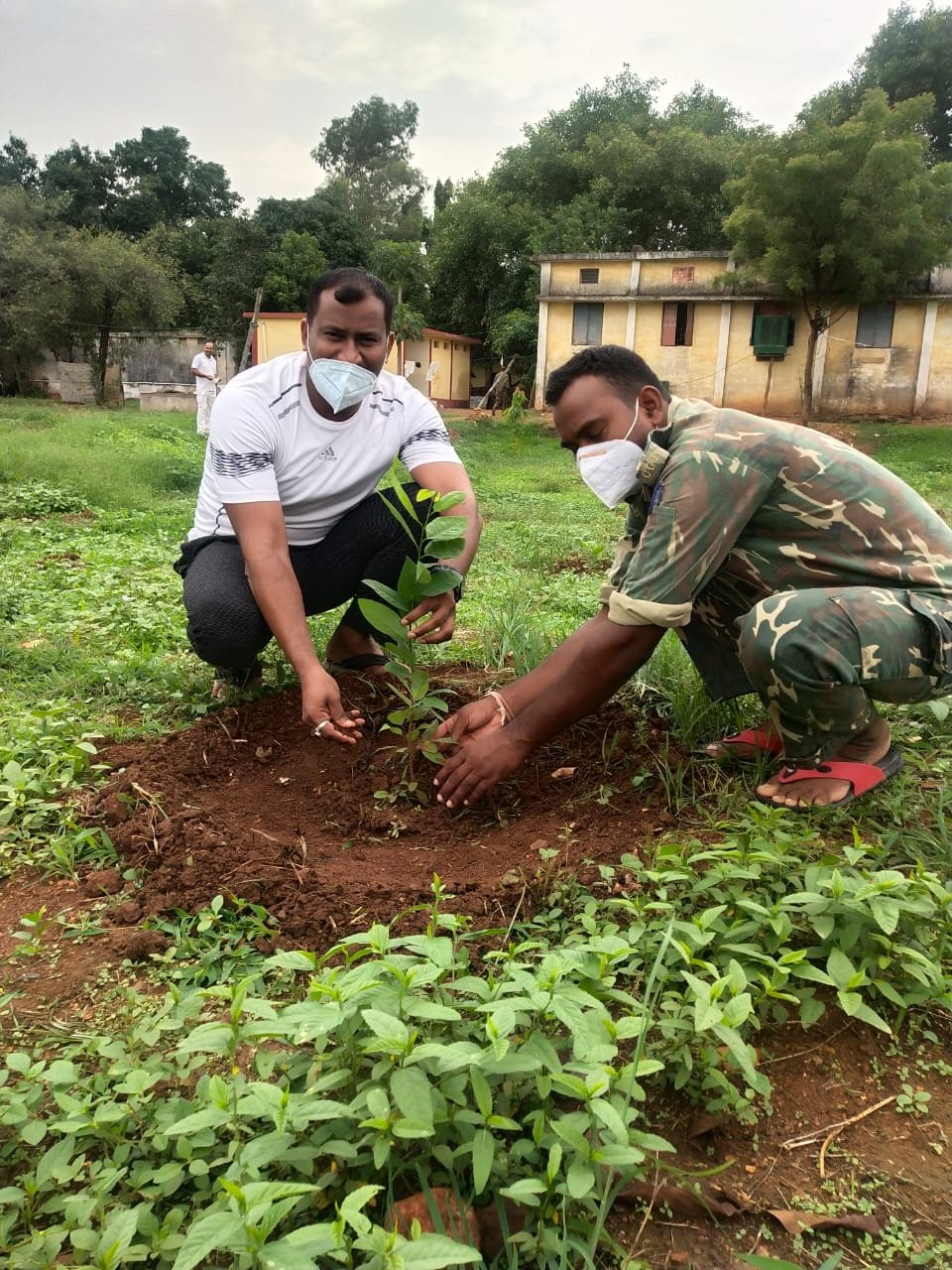 योग दिवस पर बोरतलाव थाना परिसर में हुआ वृक्षारोपण
