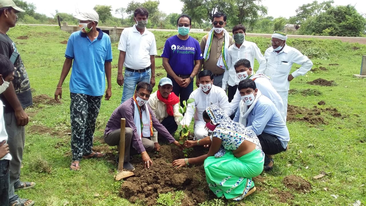 डोम्हाटोला एवं बसूला में विधायक बघेल ने किया वृक्षारोपण