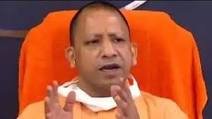 yogi