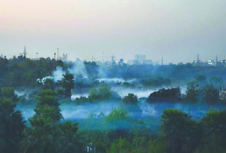 सार्वजनिक परिवहन अपनाएंगे तो साफ होगी दिल्ली की हवा