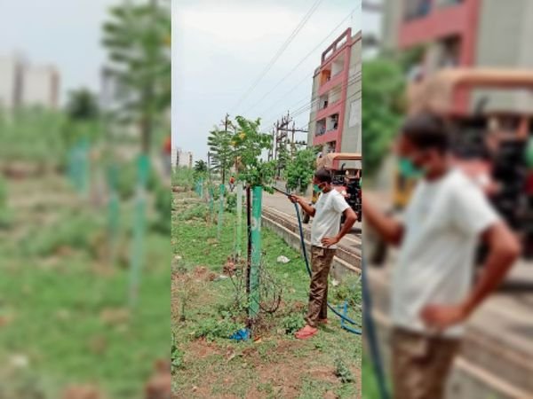 शहर के 25 हजार पौधों को बचाने रोज दे रहे पानी