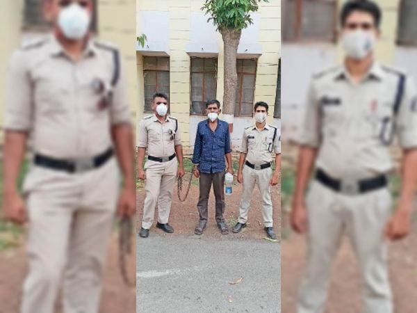 मवेशियों को कत्लखाना ले जा रहा आरोपी गिरफ्तार