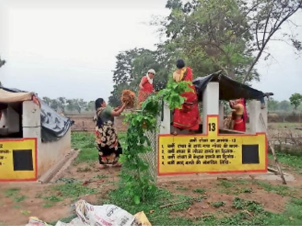 गौठानों में खाद को ढंकने पर्याप्त व्यवस्था नहीं, समूह की महिलाओं ने ही मिलकर बनाया शेड