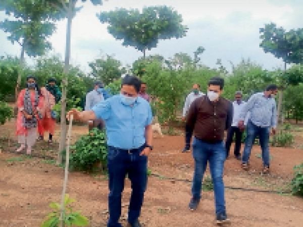 योजना, पौधों की बेहतर देखरेख करने पर पंचायतों को प्रति एकड़ मिलेंगे 10 हजार रुपए