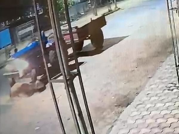 cow-death6_1623053754