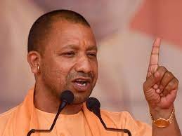 yogi