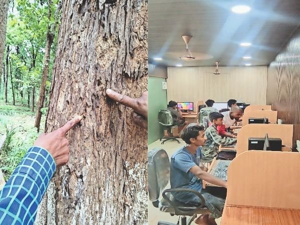 बदलाव की लहर, पेड़ों पर दहशतगर्दी के निशान मिटने से पहले बदल गया मदनवाड़ा