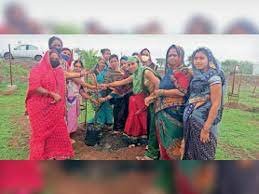 इंदावानी के 6 एकड़ में लगा रहे 665 पौधे, 10 लाख 87 हजार होंगे खर्च