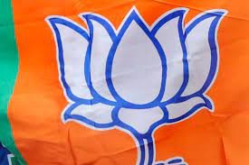 सभी चिंताएं भुलाकर नाचे नेता, लोकगीत की धुन पर थिरके पूर्व सीएम रमन सिंह