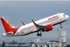 रायपुर से दिल्ली जाने वाले विमान से टकराया पक्षी, केंद्रीय मंत्री भी थीं सवार