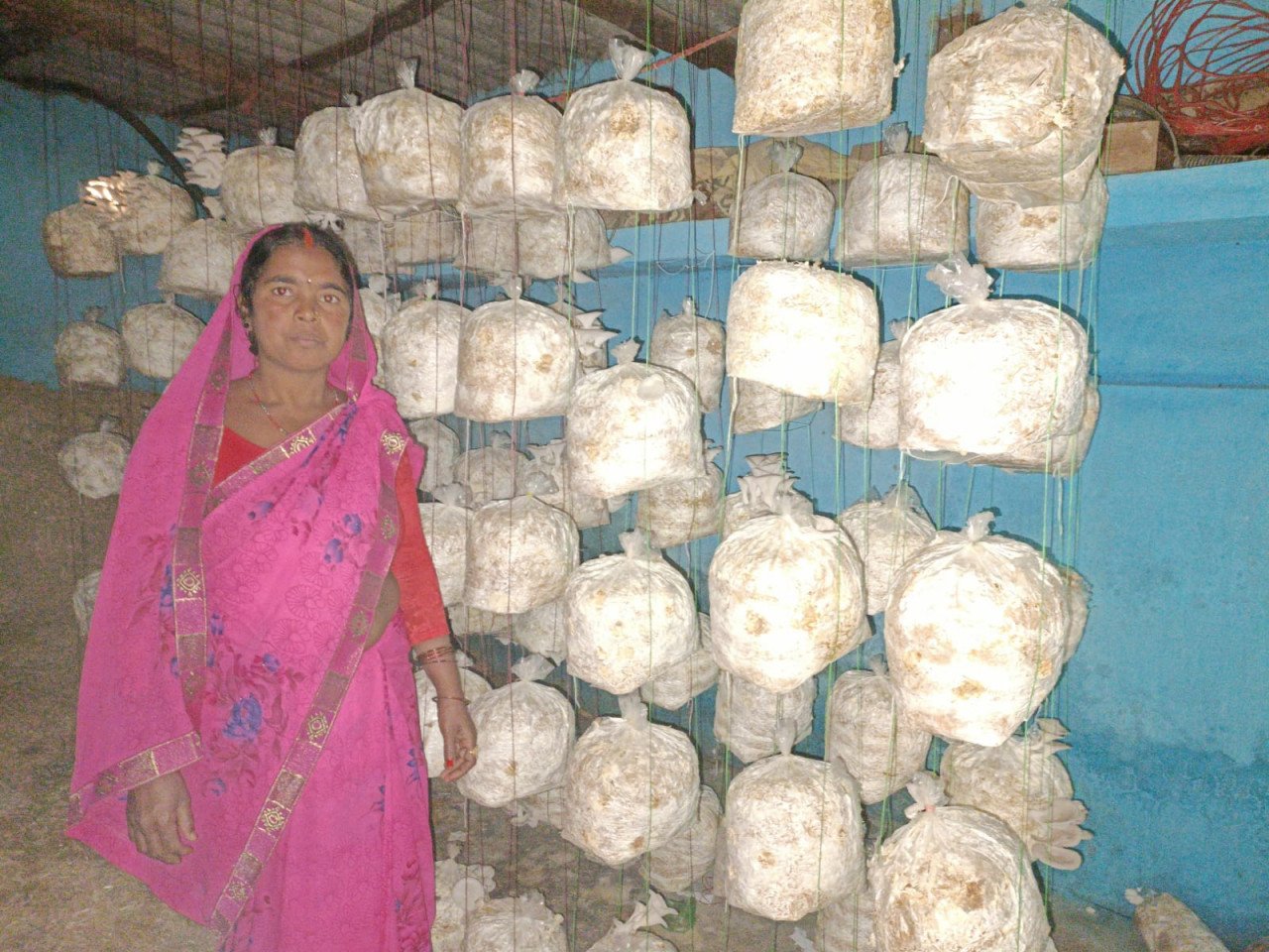 रायपुर : सोनमती ने लिखी आत्मनिर्भरता की नई कहानी