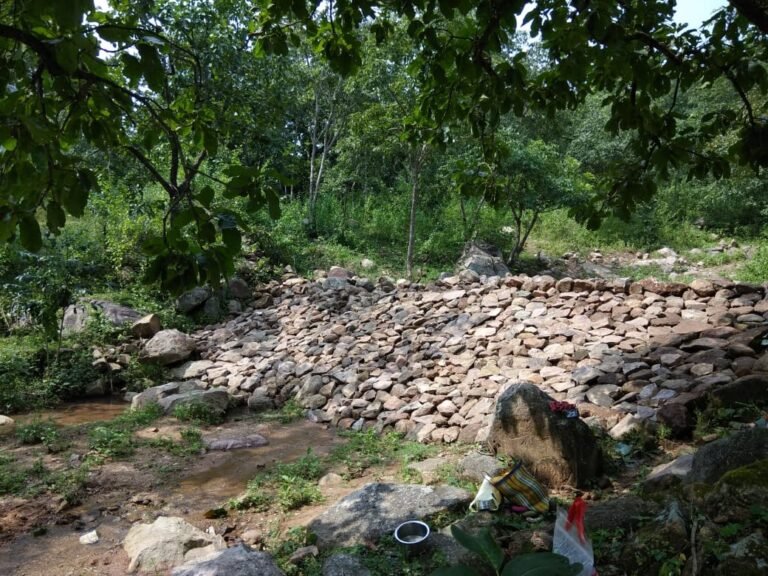 अम्बिकापुर : नरवा ट्रीटमेंट से केंदली नाला को मिला नवजीवन
