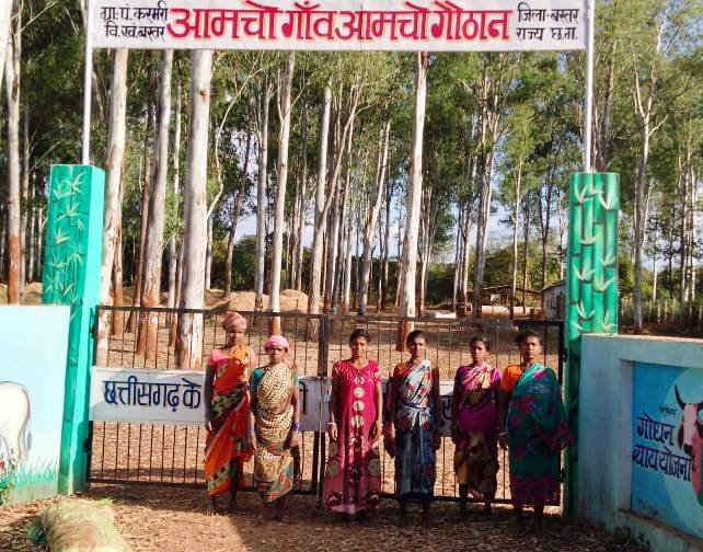 जगदलपुर : गोधन न्याय योजना से बस्तर के किसान हो रहे सशक्त