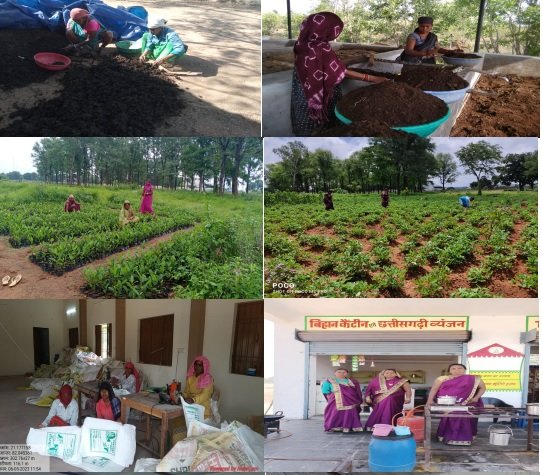 रायपुर : महिला समूह के लिए बिरकोनी गौठान बना आर्थिक गतिविधियों का नया केन्द्र