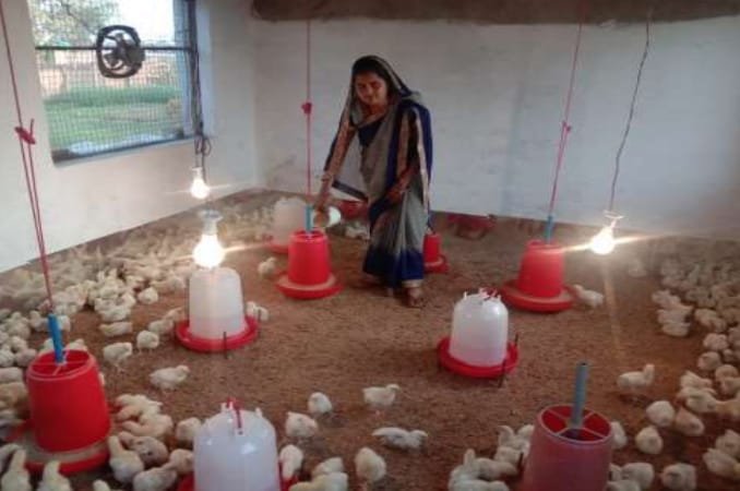 रायपुर : नरवा, गरवा, घुरवा, बाड़ी योजना से सशक्त होती नारी शक्ति
