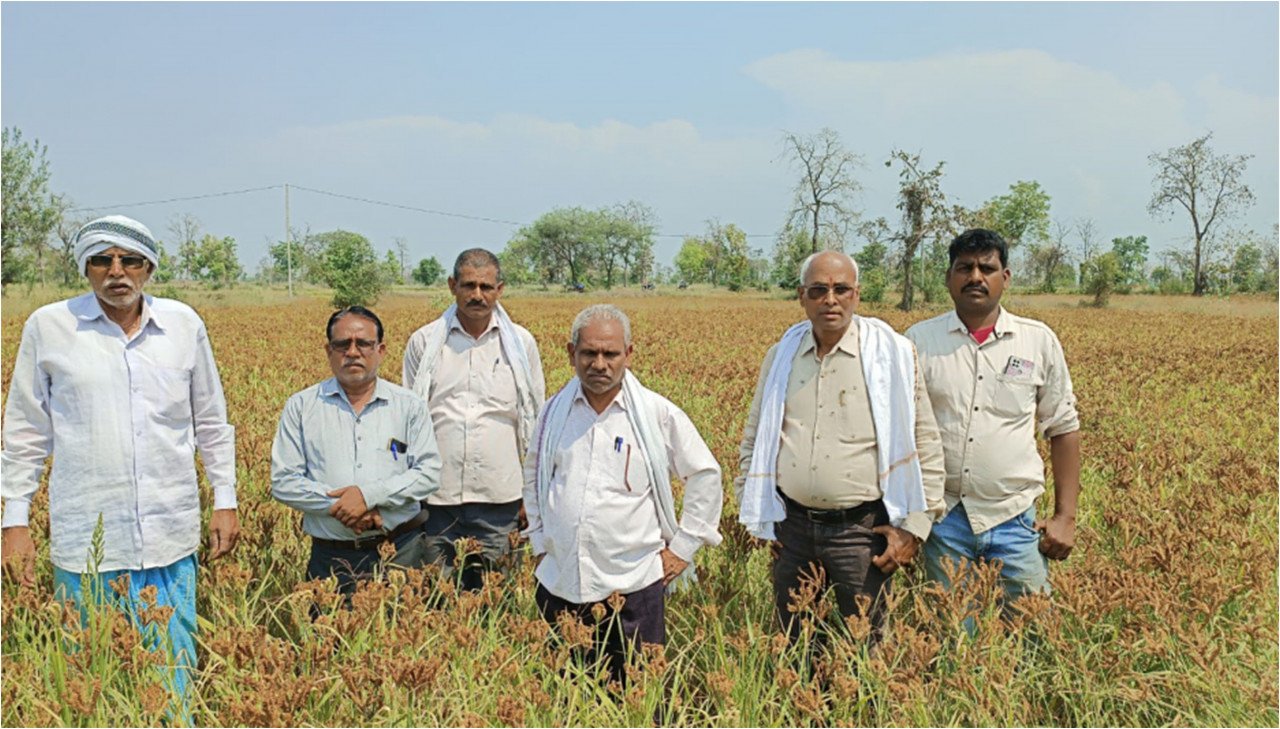 गरियाबंद : रागी की खेती कर किसानों के जीवन में आ रहा बदलाव