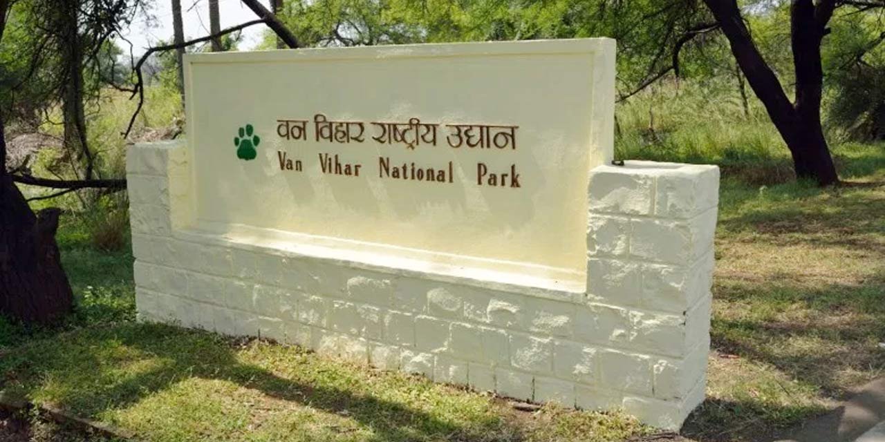 van-vihar.jpg