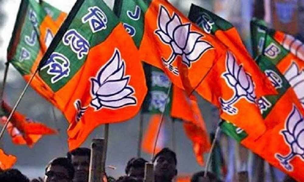 BJP-19.jpg