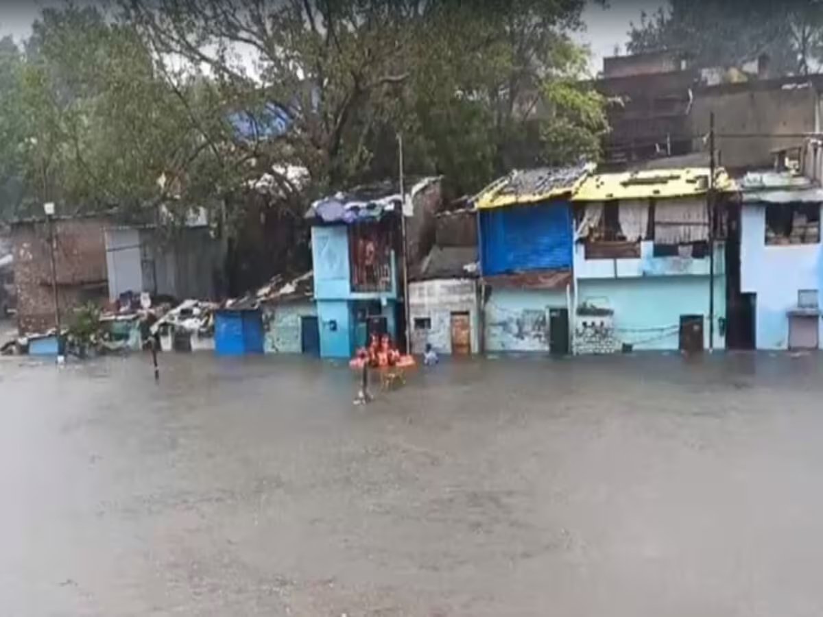 barish12.jpg