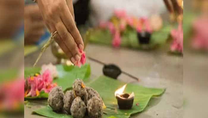 Tarpan.jpg
