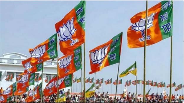 bjp_0.jpg