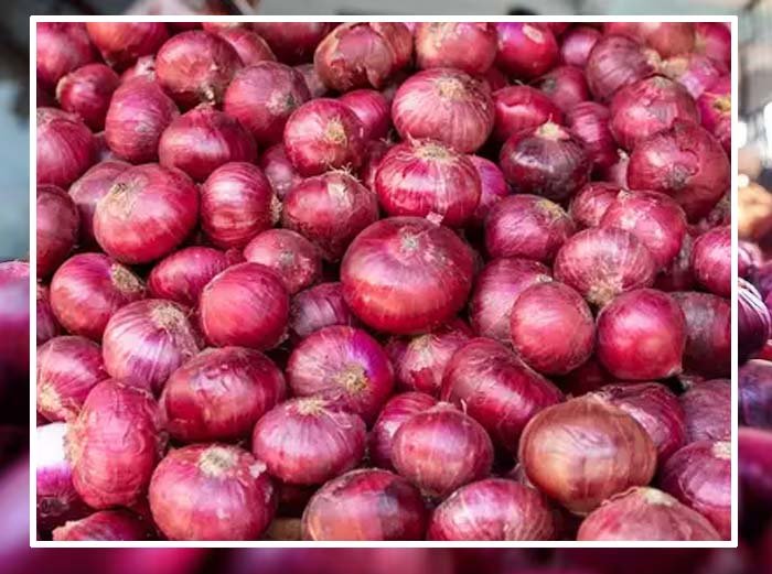 onion4.jpg