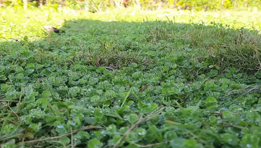 10A_31.jpg