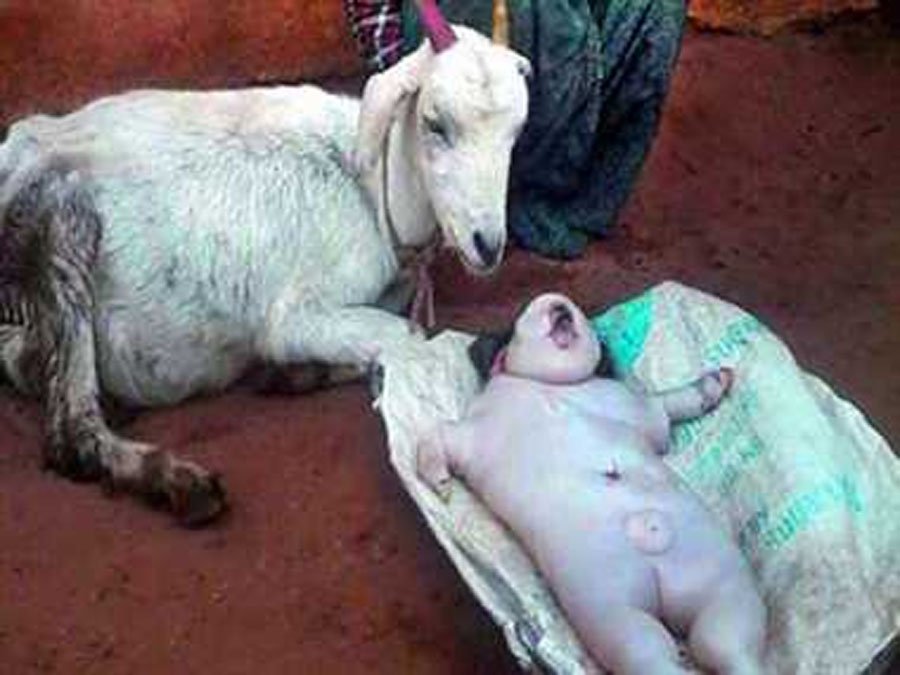 bakri1.jpg