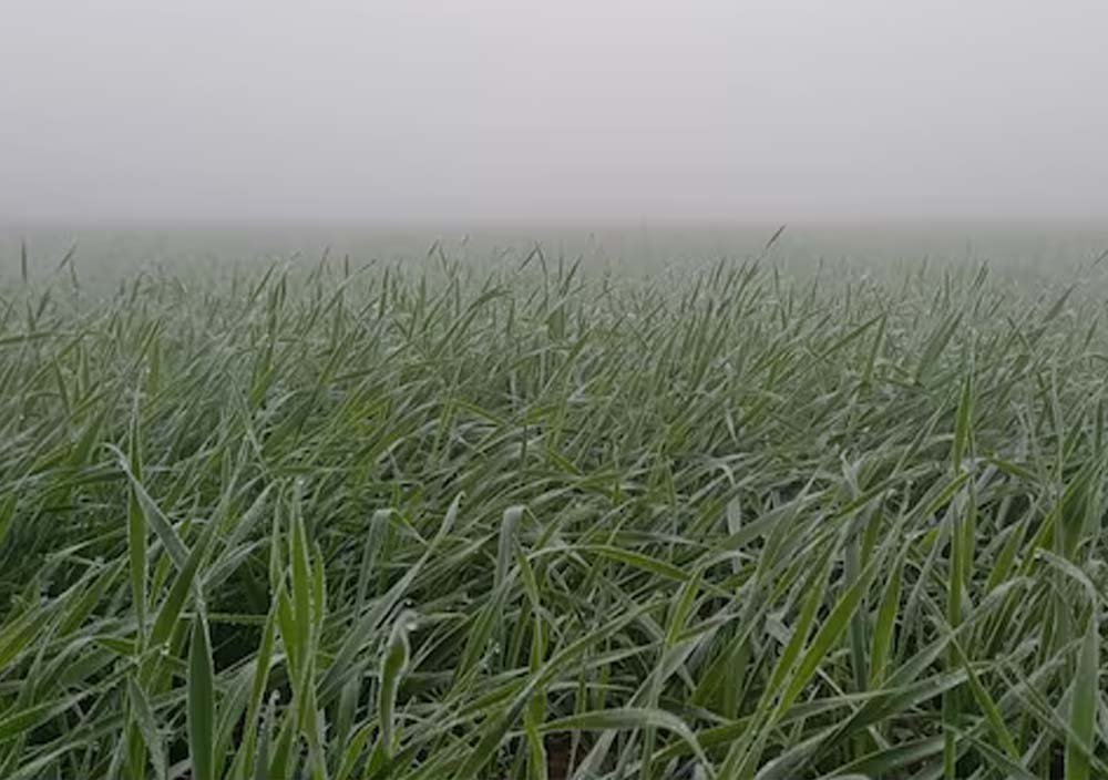 11_A66.jpg