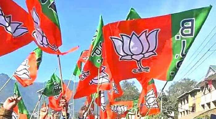 BJP01-4.jpg