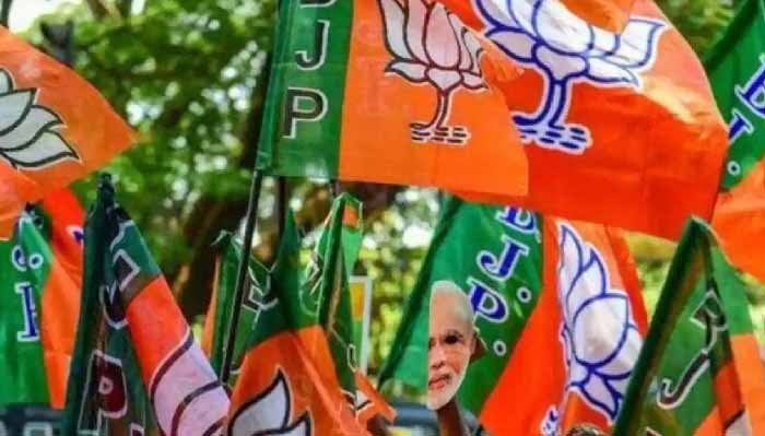 BJP2-7.jpg