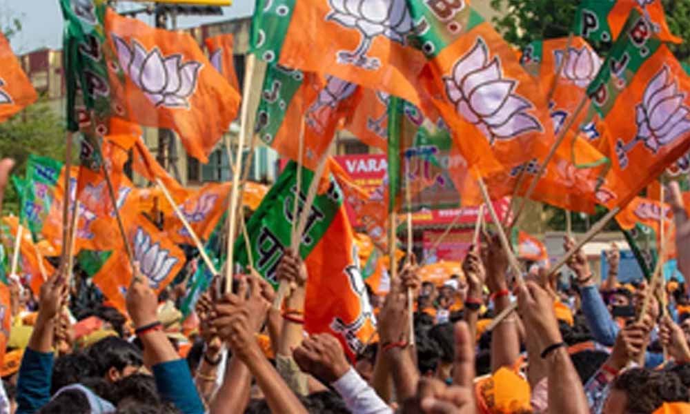 bjp-15.jpg