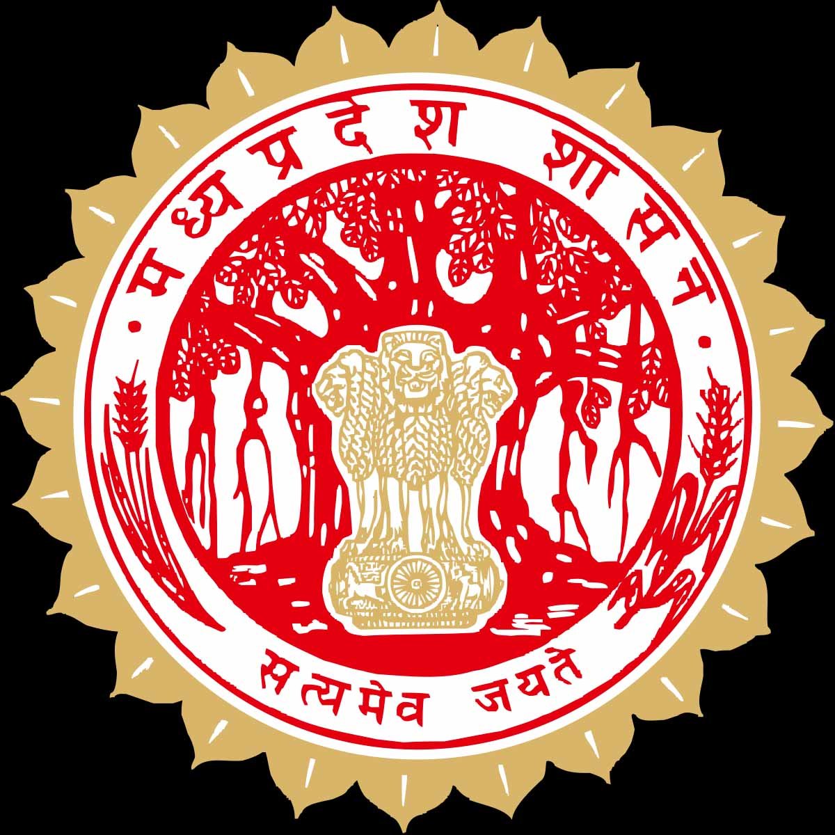 mp_logo_o-4.jpg