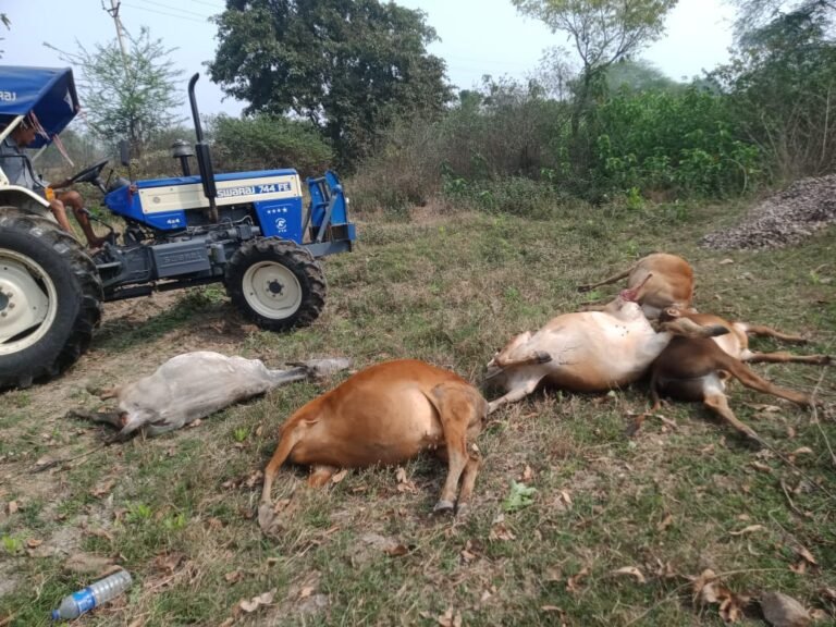 IMG-20240213-WA0024
