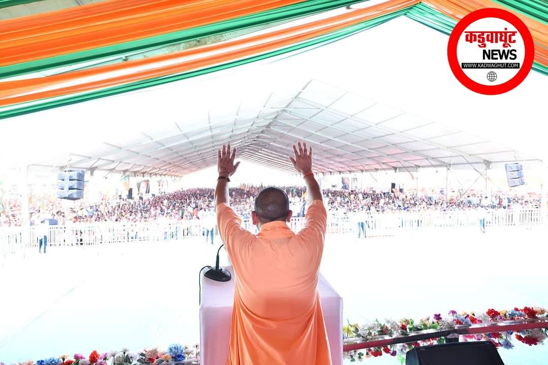 yogi rjn