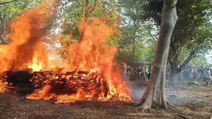 3740119-untitled-34-copy