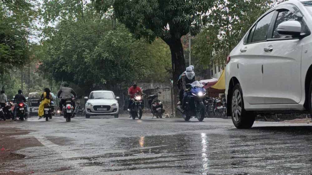barish01.jpg