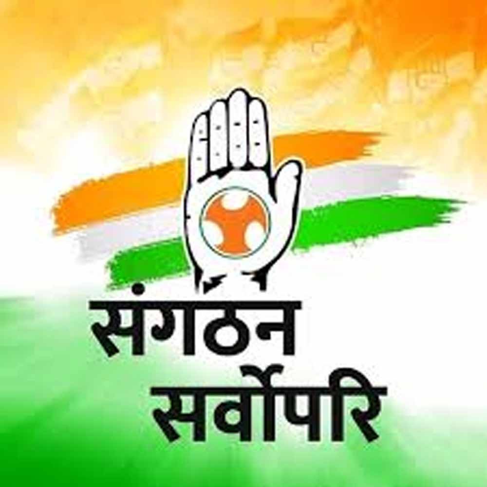 cong1-5.jpg