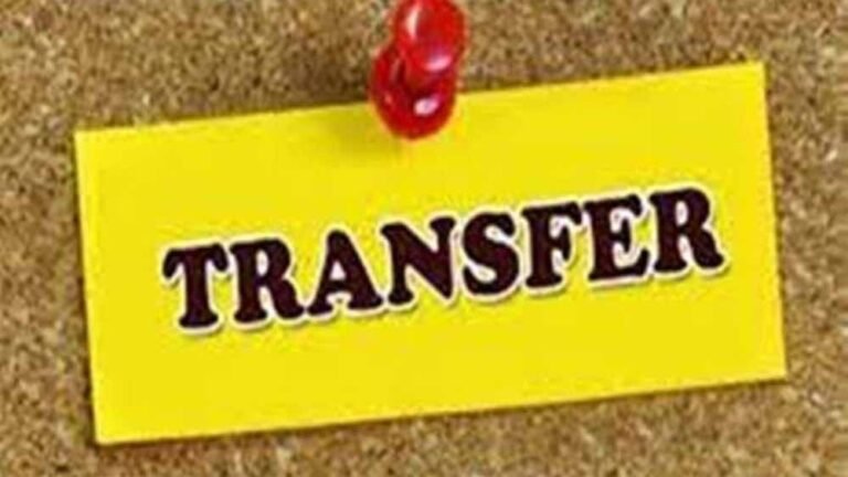 transfar.jpg