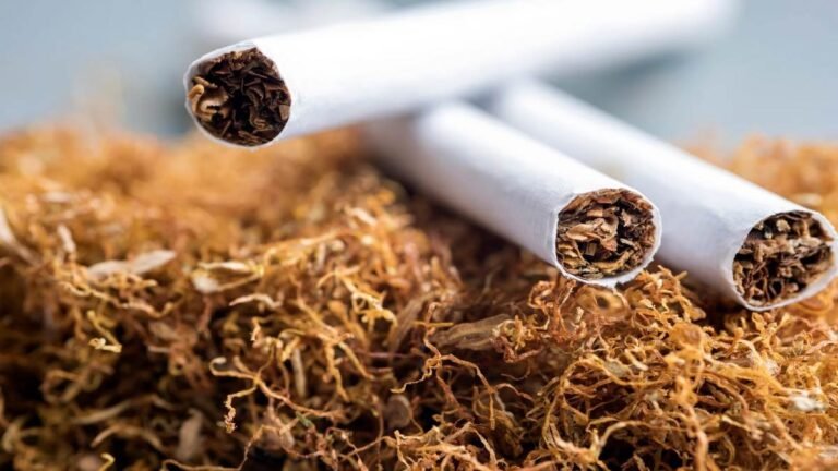 02_06_2024-tobacoo-