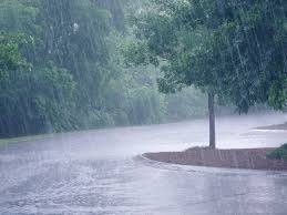 20240621004745_barish