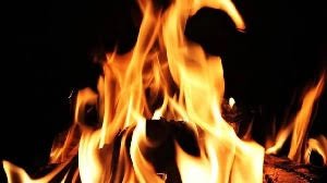 images (17)