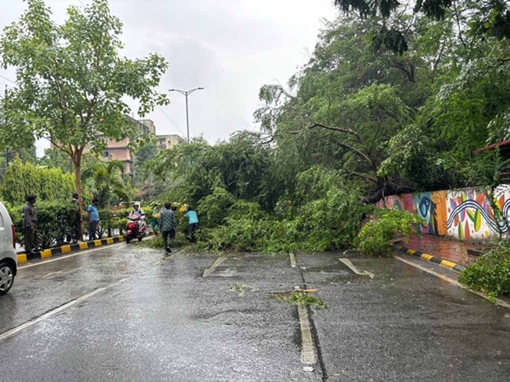 indore-1.jpg