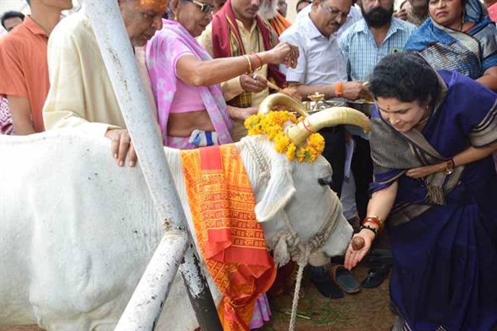 krishna.jpg