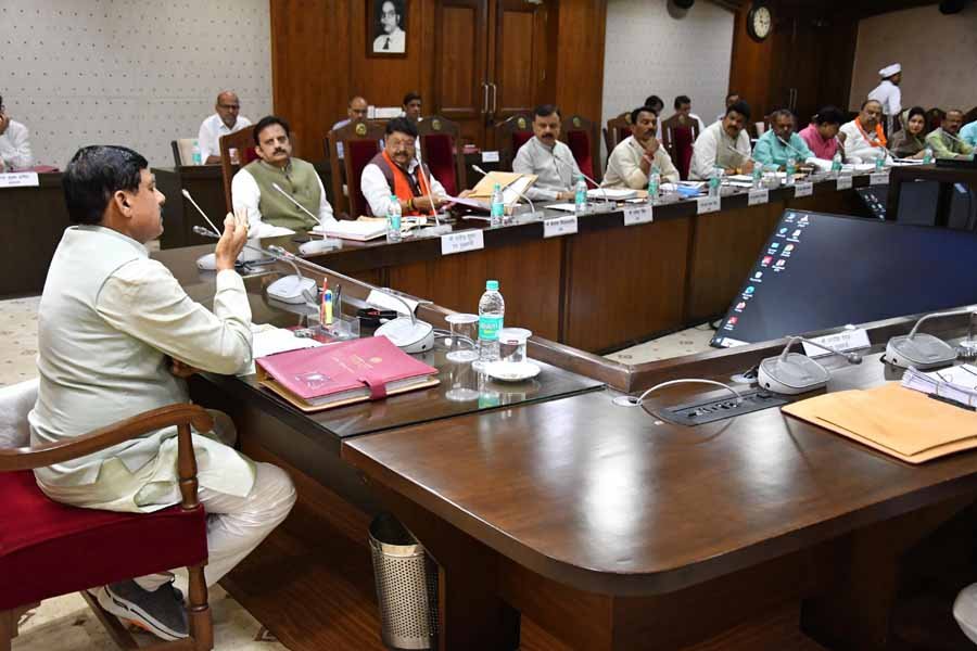 mohan_cabinet3.jpg
