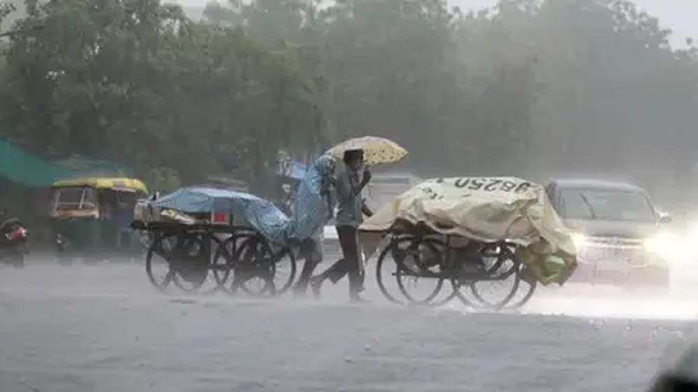 rain_A_5_2-5.jpg