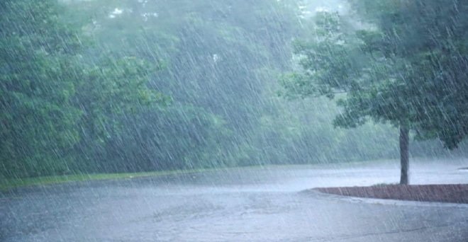 20230731170240_baarish3 (1)