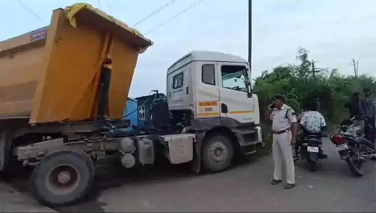 3965473-vik