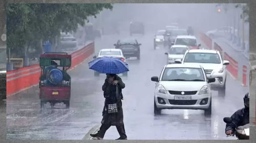 Rain_Alert_52_8.jpg