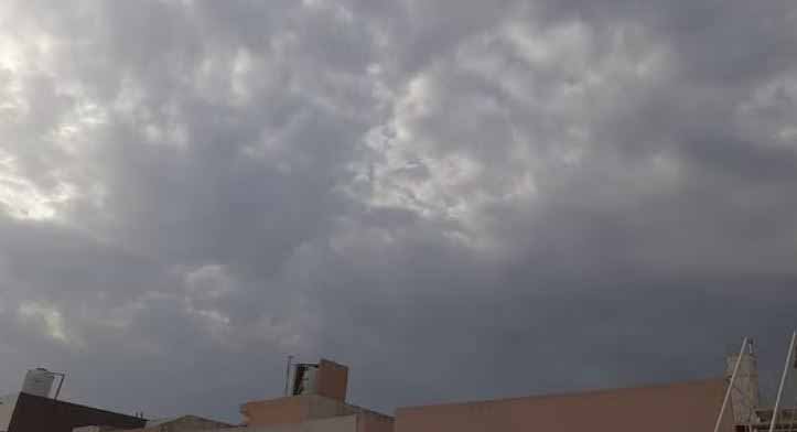 mosam-7.jpg